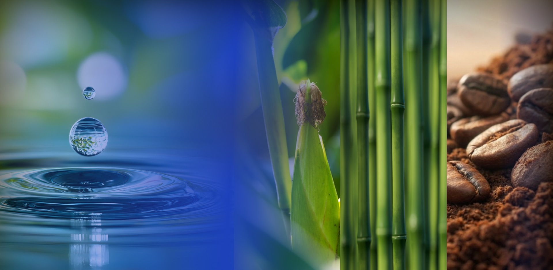 banner00001.jpg